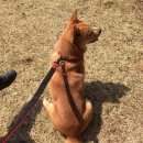 시월 <b>시월</b>의 어느 멋진 날