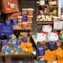 러쉬짐 | 올데이프로젝트 영서 최애템 러쉬 마사지바 한국 품절? 일본 러쉬 쇼핑 후기 (패딩턴 일본 출시)