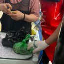 [서울/송파] 꽃게회를 맛볼 수 있는 가락시장 바다나라 후기 [내돈내산]
