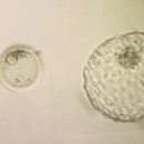 소요의원 이미지