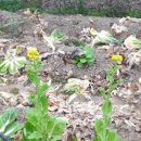 태인농장 이미지