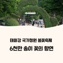 태화어린이집 | 2025 울산 태화강 국가정원 봄꽃축제 일정, 주차, 가족 프로그램 총정리