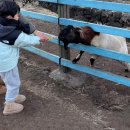 새별수산 이미지