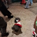 Garage house | [오키나와 중부]크리스마스 시즌에 다녀온 아메빌 2박3일 여행 후기(1)-소품샵,맛집,가챠샵 털기