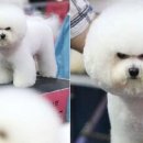 에이스학원 이미지