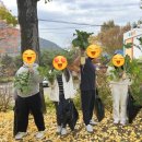 서촌초교병설 이미지