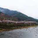 화개장터 이미지