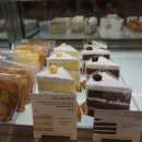 코코아울렛 이미지