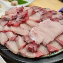 싸다횟집 | 대구 들안길 맛집 후포회수산 대방어 맛집 솔직후기(대구3대횟집 비교)