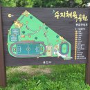 수지체육공원(인라인) 이미지