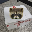 어깨동무 | 김제동과 어깨동무 : 김치나눔사업 신청 및 선정 후기