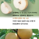 한양농원 이미지