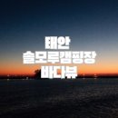 솔모루 | 태안 솔모루캠핑장 내돈내산 후기, 바다뷰 맛집