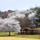 장군모텔 네이버블로그