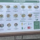 대단한우리
