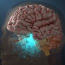 U PT STUDIO 이미지