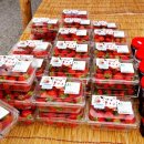 임영택농장 이미지