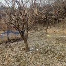 중광농장 이미지