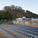 임실중앙요양병원 이미지