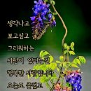 인품(人品)...사람의 품위 이미지