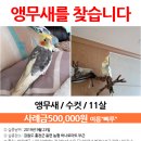 동면농협하나로마트 이미지