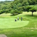 마에스트로 CC 이미지