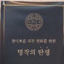 트립시아 이미지