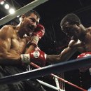 일도복싱 이미지