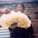 샬롬민박 이미지