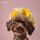 헬로우 인공지능 이미지