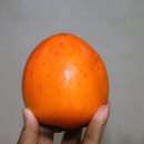 냉천농장 이미지