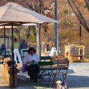 유등리 | 청도 화양읍 맛집 애견동반 식당 소우주