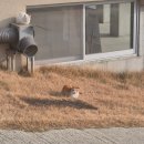 삼산면-5 | 블랙핑크 제니도 다녀간 석모도 오우스카라반캠핑장 내돈내산 솔직후기