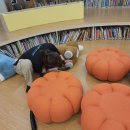 탐라세탁 네이버블로그