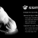 아리아펫 이미지