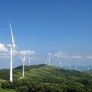 삼양목장 이미지