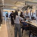 프링헤어 이미지