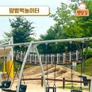 땀범벅놀이터 이미지