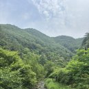 영월약수터 캠핑장 | [영월] 영월약수터캠핑장/ A1자리후기/강원도 여름휴가