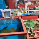 칠천도활어