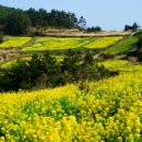 학성공원1 화장실 이미지