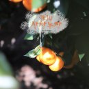 상창농장 이미지