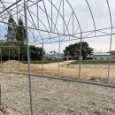 세련농장 이미지