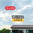 스테이 뮤트 이미지