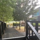 삼성루체세탁 | 아이와 방문하기 좋은 수영장 있는 평창 풀빌라 루체포레 평창숙소 후기