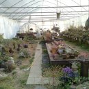 광수농장2 이미지