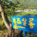 봉즈살롱 이미지