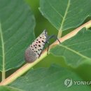 김포농협영농자재 이미지