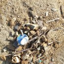 대구해안초등학교 이미지