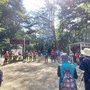 명개리(간이) 이미지